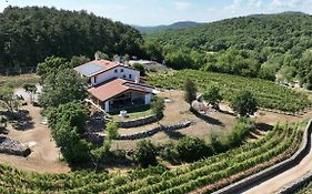 Agriturismo Budin